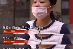 吃瓜女配爆料躺赢,吃瓜女配躺赢背后的惊人真相
