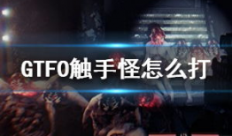 触手视频,探索虚拟互动的无限可能