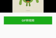 gif转视频,瞬间变永恒，捕捉动态之美